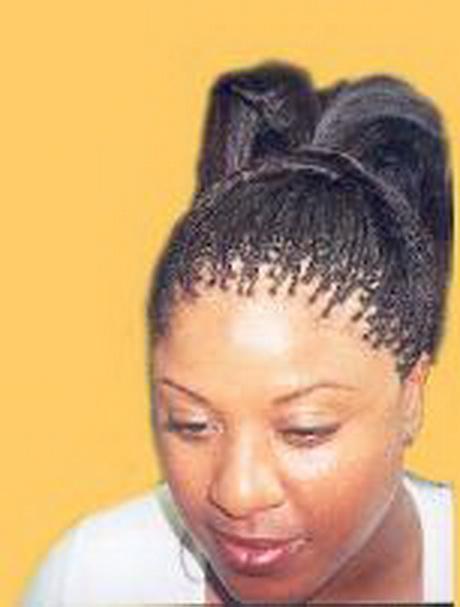 Pictures of micro braids hairstyles pictures-of-micro-braids-hairstyles-69_7