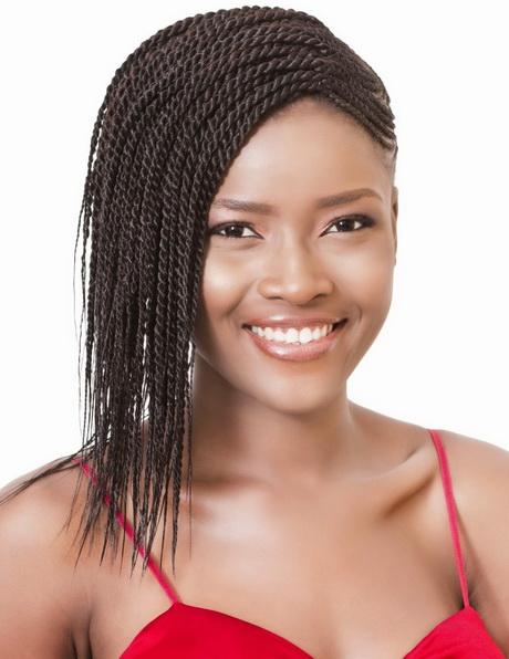 Senegalese braids hairstyles senegalese-braids-hairstyles-41_17