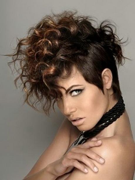 Short curly punk hairstyles short-curly-punk-hairstyles-62_13