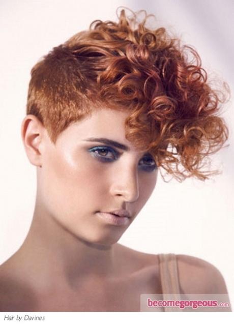 Short curly punk hairstyles short-curly-punk-hairstyles-62_14