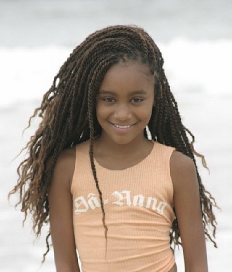 Twists braids hairstyles twists-braids-hairstyles-86