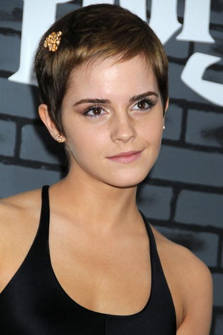 Cropped hairstyles for women cropped-hairstyles-for-women-05_15