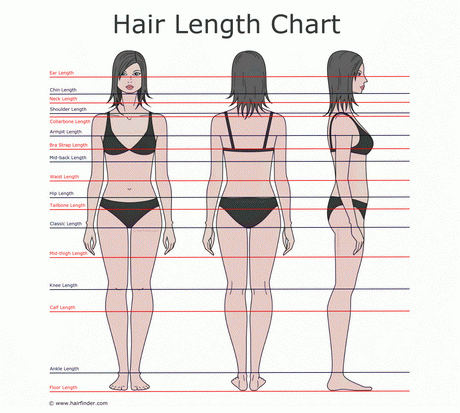 What is medium length hair what-is-medium-length-hair-49
