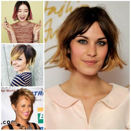 Short hairstyles and colours 2017 short-hairstyles-and-colours-2017-89_13