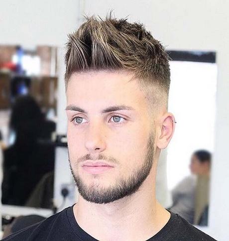 Hairstyle 2018 hairstyle-2018-43_13