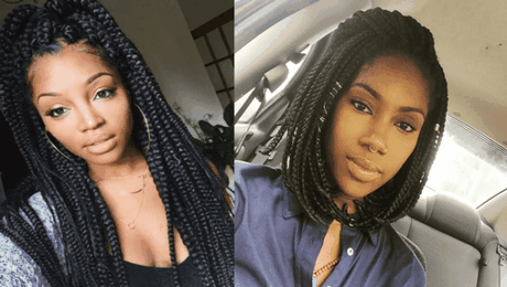 2019 black braid hairstyles