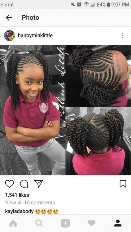 2019 black braid hairstyles 2019-black-braid-hairstyles-39_9