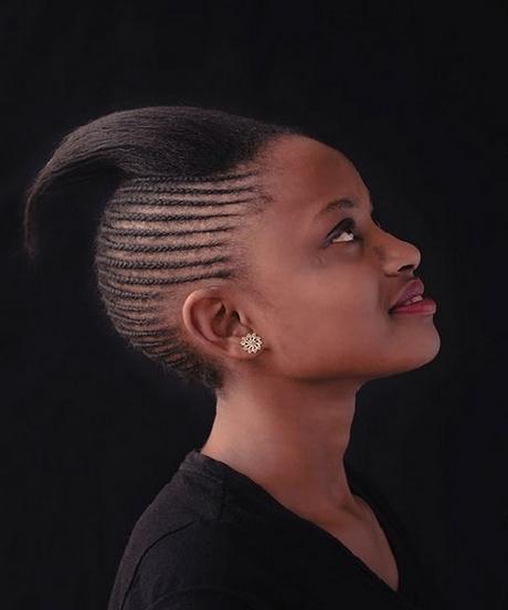 African hair braiding styles 2019 african-hair-braiding-styles-2019-95_13