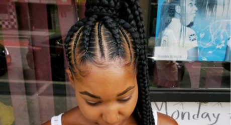 Hairstyles 2019 braids hairstyles-2019-braids-38