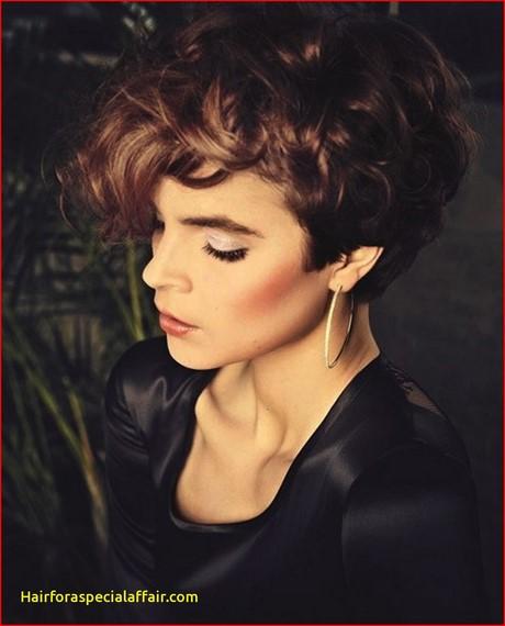 Hairstyles for short curly hair 2019 hairstyles-for-short-curly-hair-2019-29_12