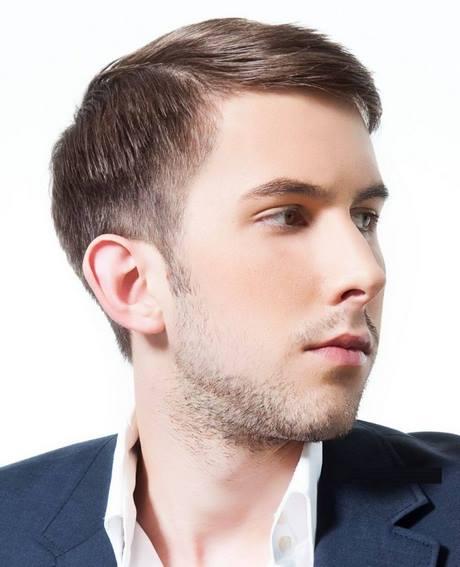 Mens professional hairstyles 2019 mens-professional-hairstyles-2019-81_16