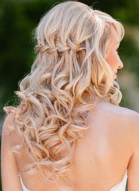 Bridal braids hairstyle bridal-braids-hairstyle-89_2