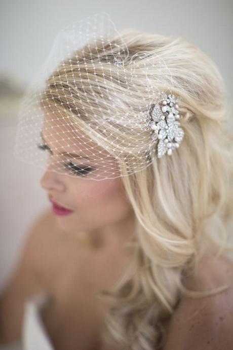 Wedding hair birdcage veil wedding-hair-birdcage-veil-30_17