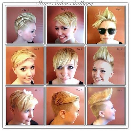 Different hairstyles for pixie cuts different-hairstyles-for-pixie-cuts-33_10