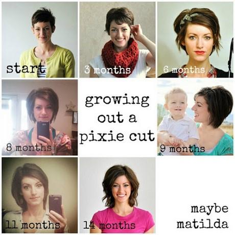 From pixie to long hair from-pixie-to-long-hair-95_14
