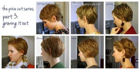 Growing hair from pixie cut growing-hair-from-pixie-cut-01_11