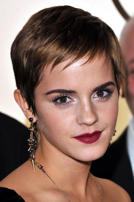 Hairstyles for a pixie cut hairstyles-for-a-pixie-cut-26_8