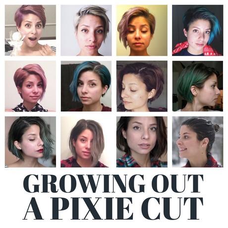 Pixie cut growing out