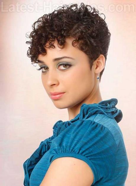 Short pixie cuts for curly hair short-pixie-cuts-for-curly-hair-92_2