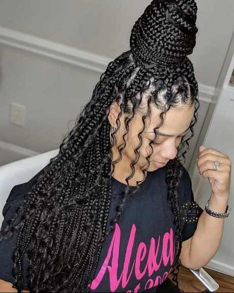 2021 black braid hairstyles 2021-black-braid-hairstyles-37_2