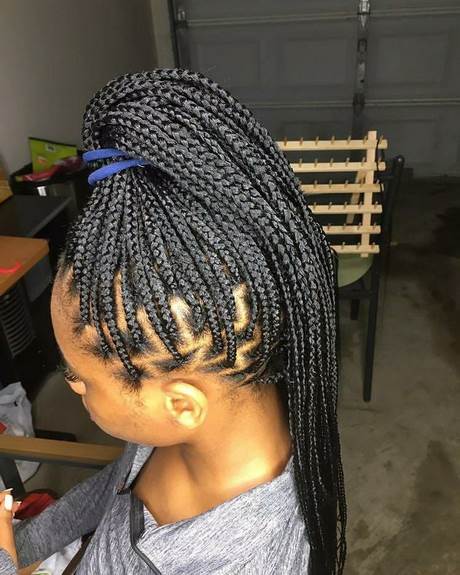 Black hairstyles 2021 braids black-hairstyles-2021-braids-24_8