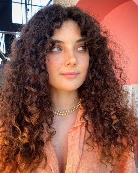 Hairstyles for curly hair 2021 hairstyles-for-curly-hair-2021-38_14