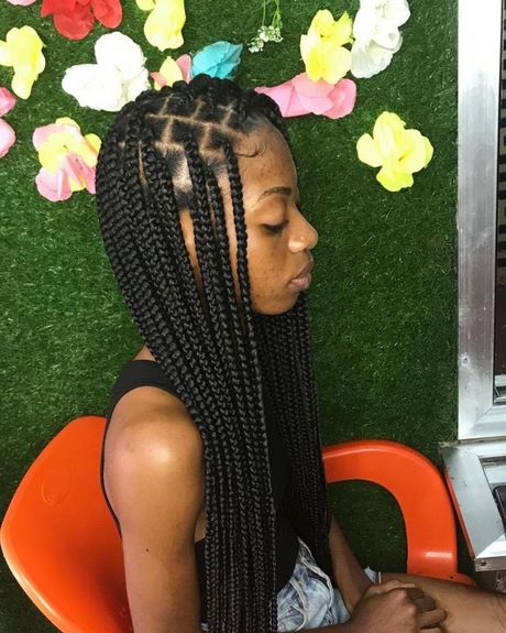 Plaits hairstyles 2021 plaits-hairstyles-2021-46_13
