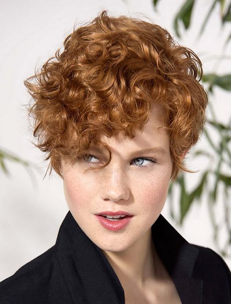 Short curly hairstyles for women 2021 short-curly-hairstyles-for-women-2021-28_10