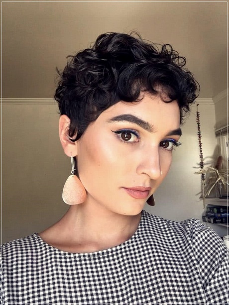 Short curly hairstyles for women 2021 short-curly-hairstyles-for-women-2021-28_4