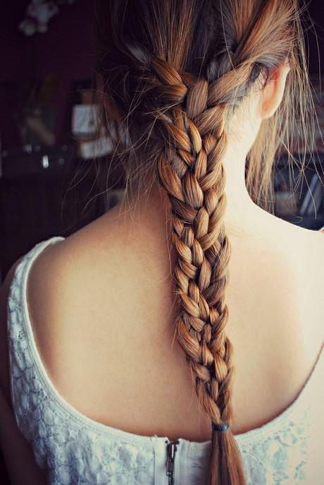 4 braid hairstyle 4-braid-hairstyle-30_18