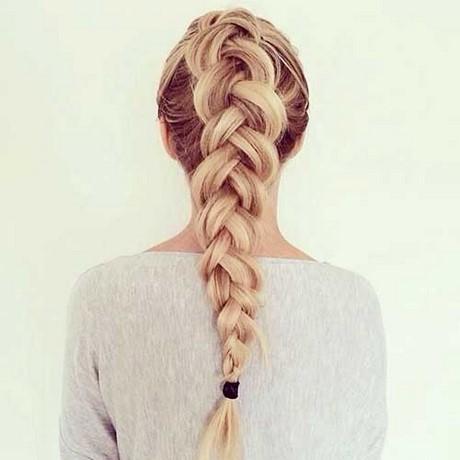 Best braids for long hair best-braids-for-long-hair-86_3