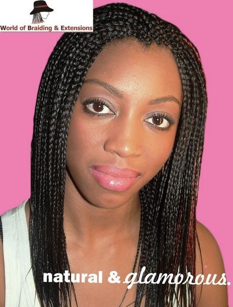 Braids and plaits hairstyles