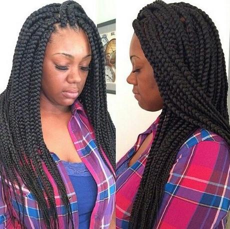 Braids and plaits hairstyles braids-and-plaits-hairstyles-12_15