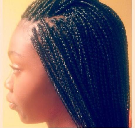 Braids and plaits hairstyles braids-and-plaits-hairstyles-12_9
