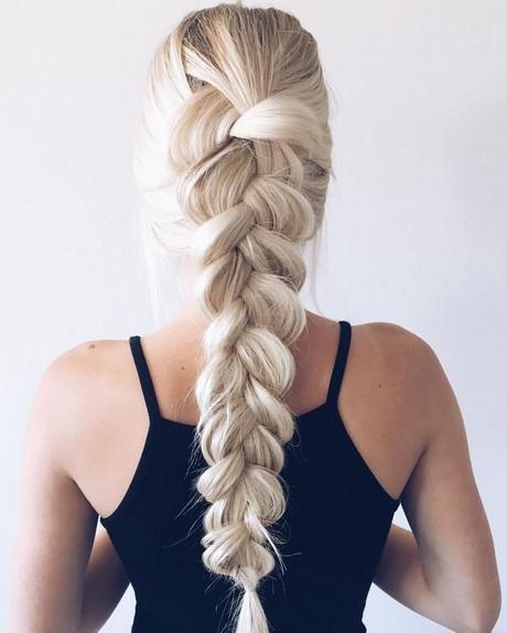 Braids for thick long hair braids-for-thick-long-hair-46_14