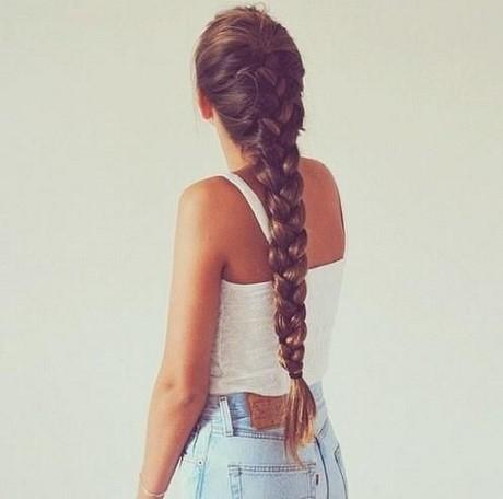 Braids for thick long hair braids-for-thick-long-hair-46_2