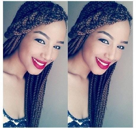 Cute hairstyles to do with braids cute-hairstyles-to-do-with-braids-35_18