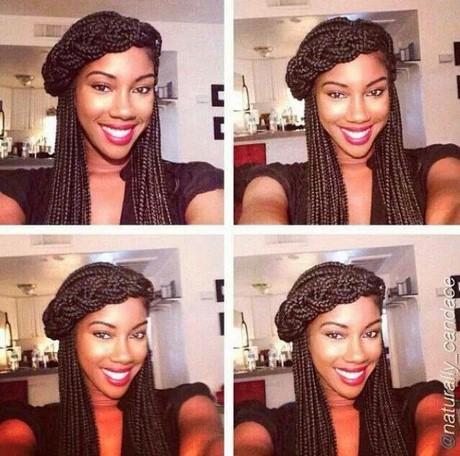 Different hairstyles to do with braids different-hairstyles-to-do-with-braids-10_8