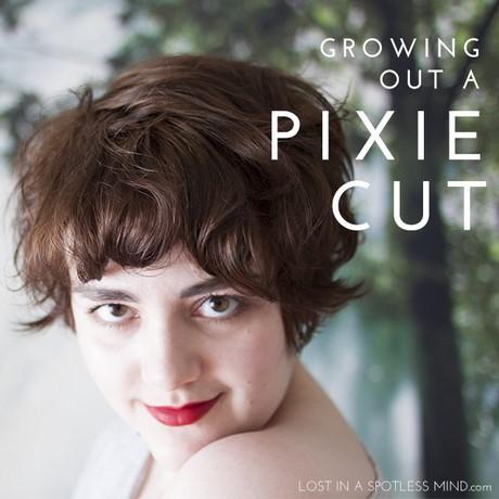Growing out a pixie cut curly hair