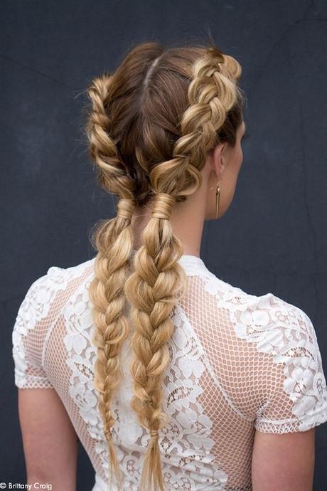 Hairstyles braided hair hairstyles-braided-hair-06_19