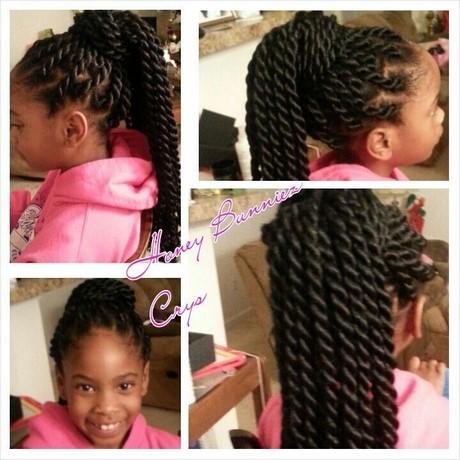 Hairstyles to do with braiding hair hairstyles-to-do-with-braiding-hair-75_4