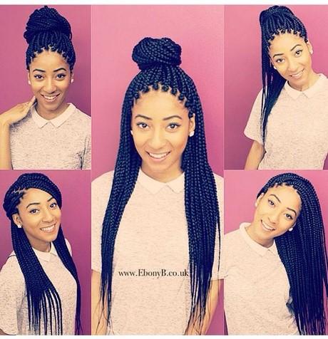 Hairstyles to do with braids hairstyles-to-do-with-braids-60_13