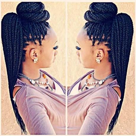 Hairstyles to do with braids hairstyles-to-do-with-braids-60_8