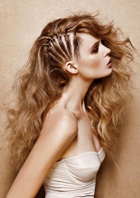 Half head braided hairstyles half-head-braided-hairstyles-97_6