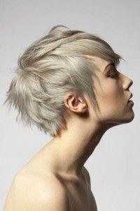 Pixie cut for guys pixie-cut-for-guys-48_2