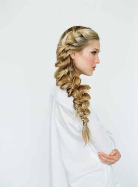 Plait of braided hair plait-of-braided-hair-56