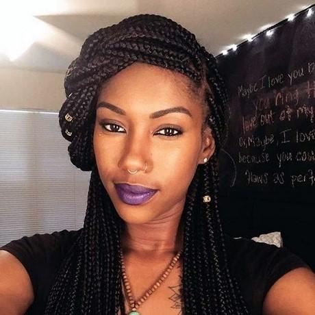 Plaits and braids hairstyles plaits-and-braids-hairstyles-93_13