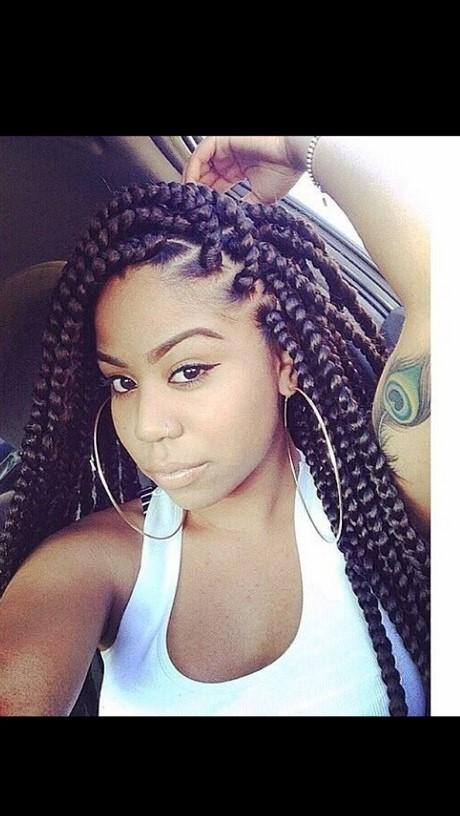 Plaits and braids hairstyles plaits-and-braids-hairstyles-93_16