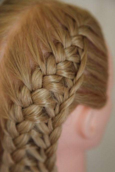 Really cool braids for hair really-cool-braids-for-hair-88_11