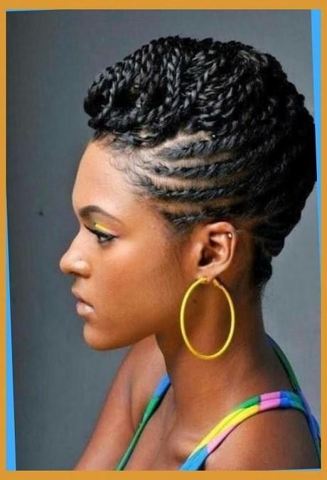 Simple african hair braiding styles simple-african-hair-braiding-styles-39_2